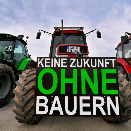Bauernproteste