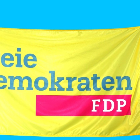 Die Fahne der Partei FDP