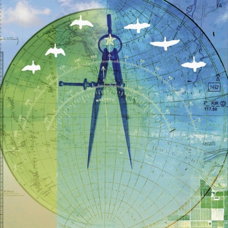 Illustration von Vögeln und einem Zirkel auf einer Karte, die an einen Globus erinnert.