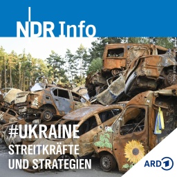 Im Kampf zerstörte Fahrzeuge stehen im ukrainischen Irpin. 