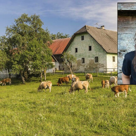 Eine Kuhweide und Madeleine Becker