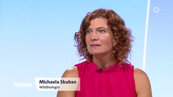 Mittagsmagazin - Bärenforscherin Manuela Skuban Im Studio-talk