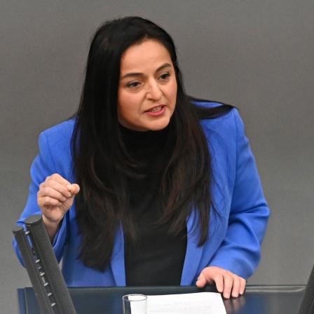Sevim Dağdelen, Sprecherin für Abrüstungspolitik, Die Linke
