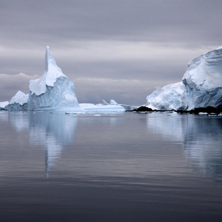 Wo ist das Eis, Frau Prof. Boetius? - Polarforscherin zurück aus der Arktis