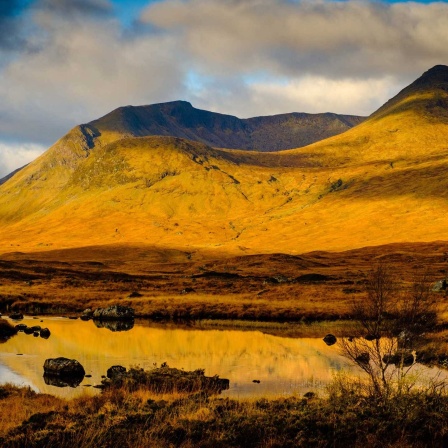 Rannoch Moor, Highlands of Scotland