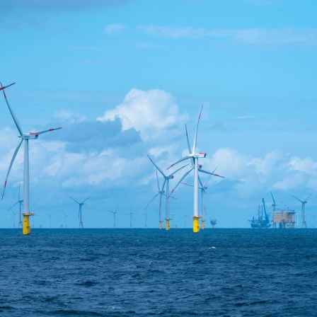 Offshore-Windpark Meerwind, Wirtschaftszone, nordwestlich Helgoland (Bild: IMAGO/imagebroker)