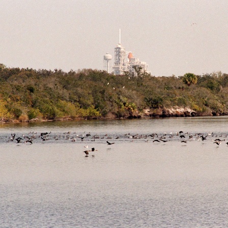 KENNEDY SPACE CENTER, FLA. - Zahlreiche Vögel, vor allem Grau- und Weißpelikane, Kormorane, Möwen, Reiher und Fischadler, strömen in Hektik zum Wendebecken östlich des Fahrzeugmontagegebäudes, während sich Fischschwärme im Wasser füllen. Im Hintergrund ist die Startrampe A mit dem Space Shuttle Endeavour zu sehen, das am Freitag, dem 11. Februar, auf den Start der Mission STS-99 wartet. Das Becken ist Teil der Indian River Lagoon, die im Norden aus der Mosquito Lagoon, im Süden aus dem Banana River und Creek und im Westen aus dem Indian River besteht.