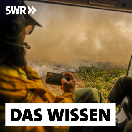 Mitarbeiter der brasilianischen Umweltbehörde Ibama überfliegen einen Waldbrand im Pantanal, einem der größten Binnenland-Feuchtgebiete der Welt.