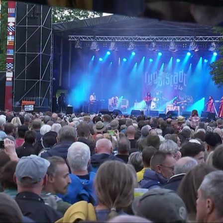 Festival für Folk- und Weltmusik in Rudolstadt