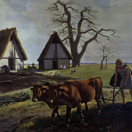Über die Frühzeit der Landwirtschaft - Vom Pfeil zur Hacke