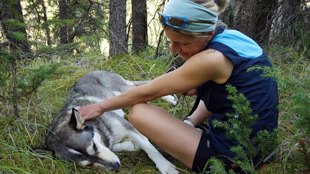 2005 erkrankte Gudrun Pflueger schwer. Die Diagnose war ein Tumor im Kopf. Trotz geringer Überlebenschance kämpfte sie unerbitterlich. Wie ihre Vorbilder - die Wölfe.