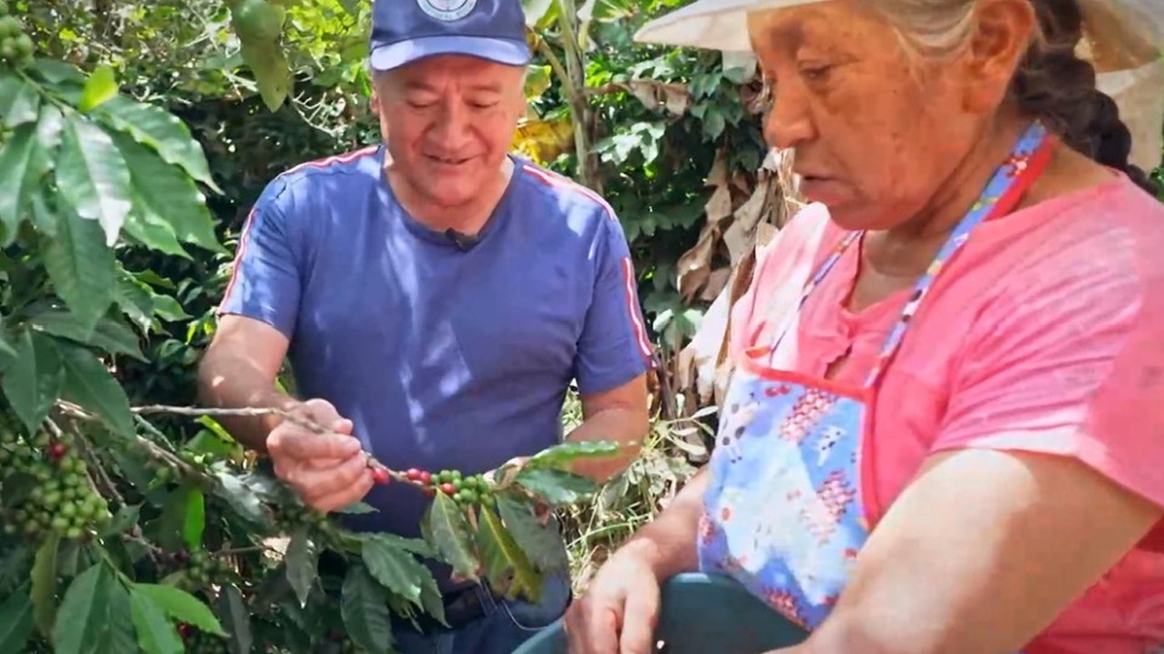 Kaffee statt Koka: Kokabauern für den Frieden