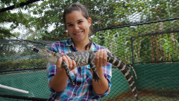 Anna, Paula, Pia Und Die Wilden Tiere - Die Zähne Des Alligators