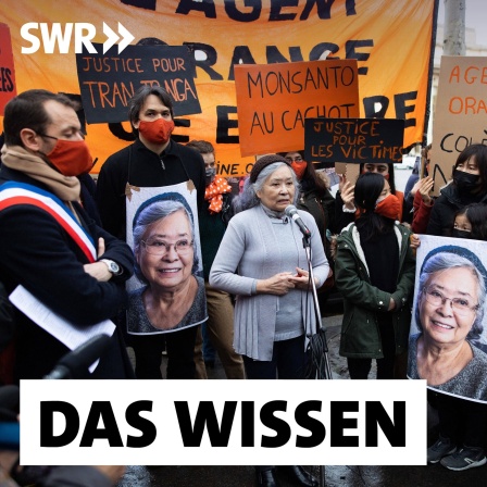 Die Aktivistin Tran Tho Nga 2021 bei einem Protest in Paris: Tran Tho Nga arbeitete als Journalistin für Nordvietnam. Unterwegs in den Süden geriet sie mehrmals in den Giftregen. Im Dschungel kam ihre erste Tochter zur Welt. Mit 17 Monaten starb die kleine Viet-Hai an einem schweren Herzfehler. Später wurde Tran Tho Nga verhaftet. Im Gefängnis wurde ihre zweite Tochter geboren, unheilbar krank. Tran Tho Nga hat 14 Firmen verklagt, die damals Agent Orange herstellten.