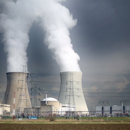 Dampf steigt aus den Kühltürmen des belgischen Atomkraftwerks Doel - vor den Kühltürmen laufen Stromleitungen über Hochspannungsmasten.