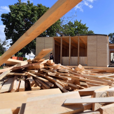 Studenten der Universität Kassel bauen in Dessau ein Holzhaus inspiriert von Plänen des Bauhaus-Architekten Ludwig Hilberseimer