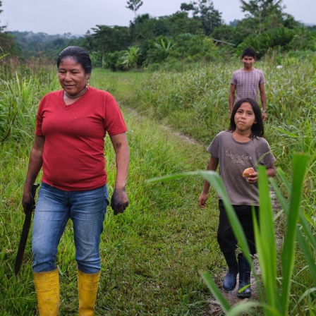 Eine Frau mit Machete und zwei Kinder laufen im Regenwaldgebiet Ecuadors.