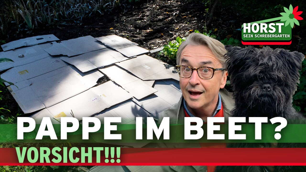 Horst sein Schrebergarten Pappe im Beet Altpapier und Karton im