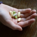 Illustration - Ein Mädchen hält verschiedene Tabletten in der Hand