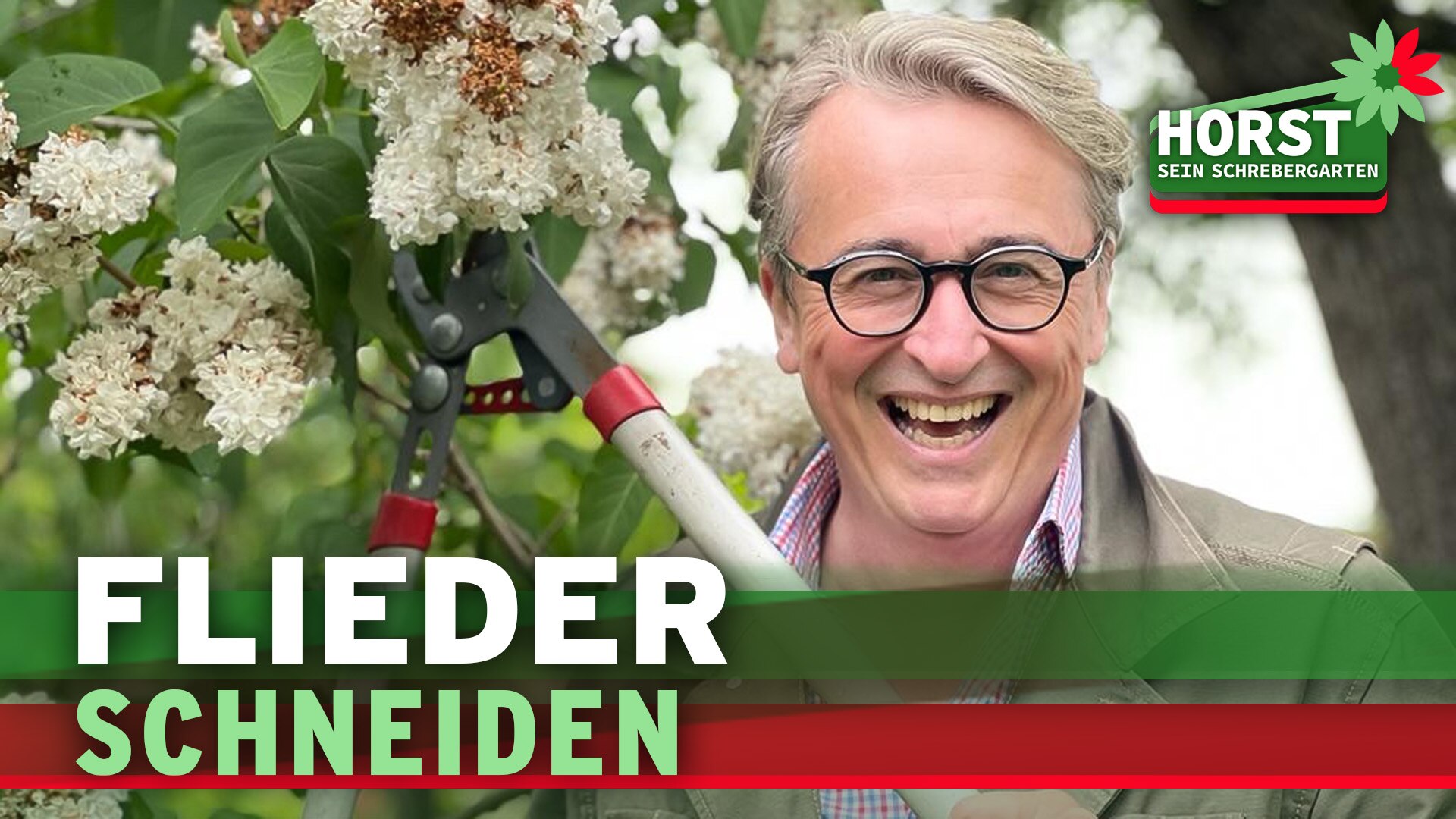Horst sein Schrebergarten Wie und wann schneidet man eigentlich