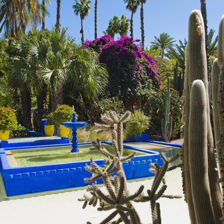 Der Garten von Yves Saint Laurent in Marrakesch (Foto: Imago)