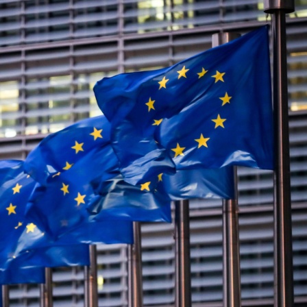 Europaflaggen wehen vor dem Sitz der EU-Kommission in Brüssel.