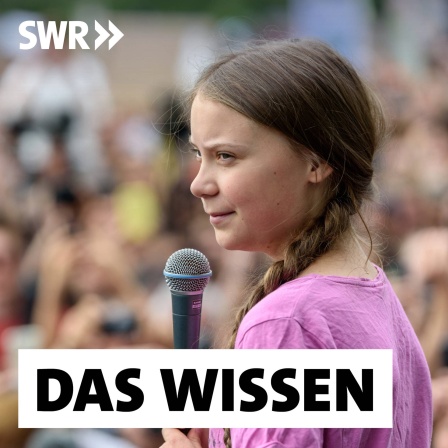 Klimaaktivistin Greta Thunberg 2019 beim freitäglichen Schülerstreik im Berliner Invalidenpark: Es scheint, dass mit den aktuellen Herausforderungen, mit Flüchtlings- und Klimakrise sowie dem Krieg in der Ukraine die Sehnsucht nach Heldenfiguren wächst. Für viele sind die Aktivistinnen Carola Rackete, Greta Thunberg oder der ukrainische Präsident Wolodymyr Selenskyj moderne Helden und Heldinnen