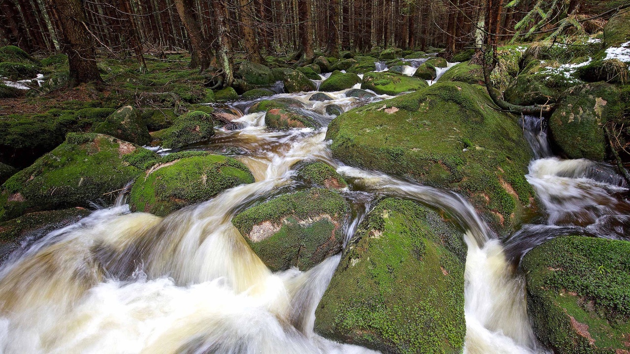 Der Harz – Felsenreich und Wasserwelten (2)