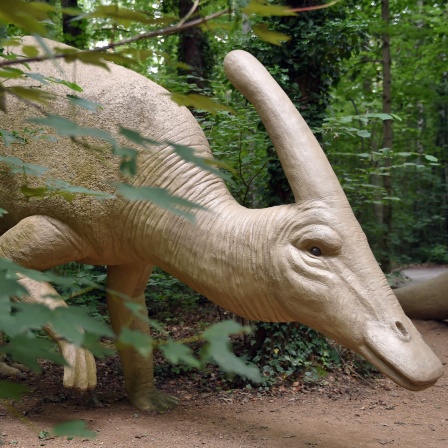 Modell eines Parasaurolophus
