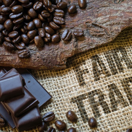 Auf einem Sack mit der Aufschrift "Fair Trade" liegen Kaffeebohnen, Bananen und Schokolade.