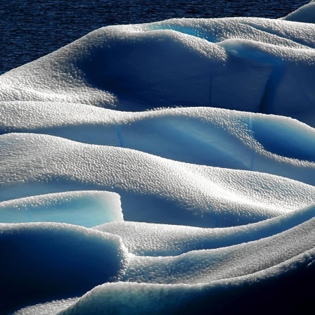 Leben unter dem Eis - Faszination Antarktis