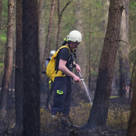 Feuerwehrmann spritzt mit Löschrucksack im Wald