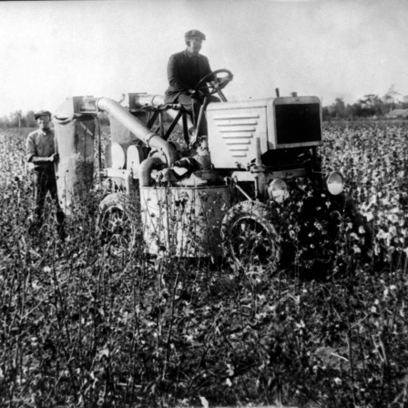 Ein mechanischer Baumwollpflücker wird am 22. Dezember 1930 im Einsatz gezeigt.