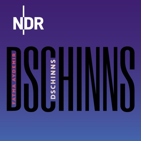 Buchcover "Dschinns"