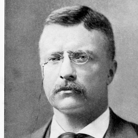 Theodore Roosevelt, Präsident der USA