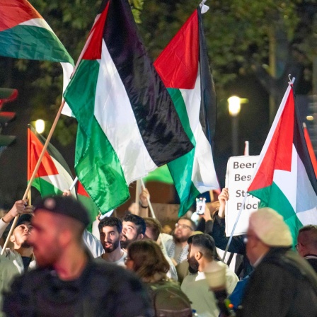 Menschen schwenken Palästina-Fahnen und halten Plakate hoch