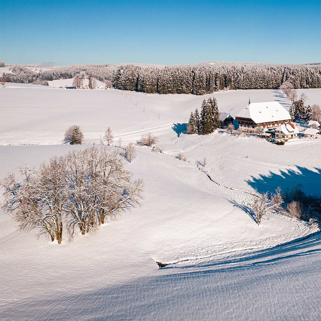 Die Fallers Fallerhof im Winter