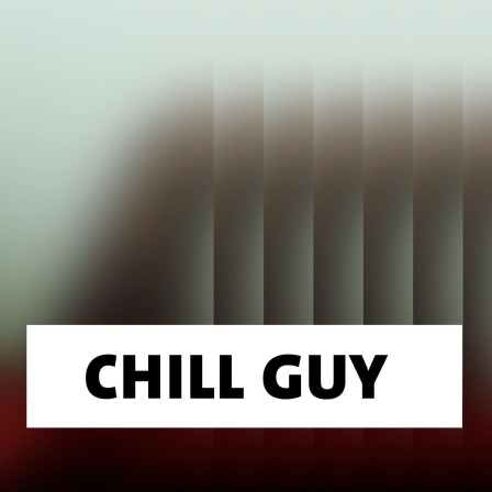 Wort der Woche: Chill Guy
