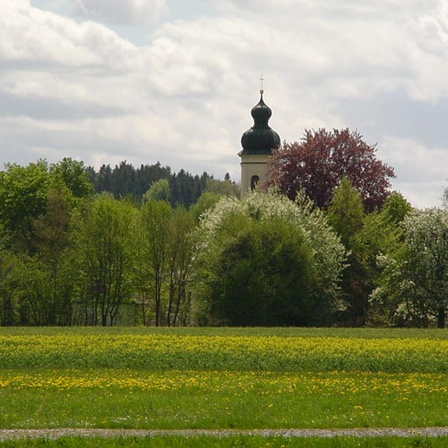 Metropole des Humors. Hörbach, sein Montagsbrettl und die jüngere bayerische Kabarettgeschichte