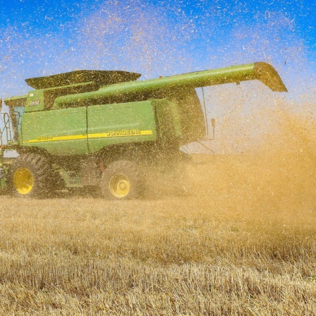 Ein Mähdrescher erntet Getreide auf einem Feld in der Region Odessa im Süden der Ukraine.