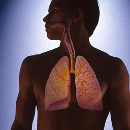 Asthma: Wie kann ich freier atmen?