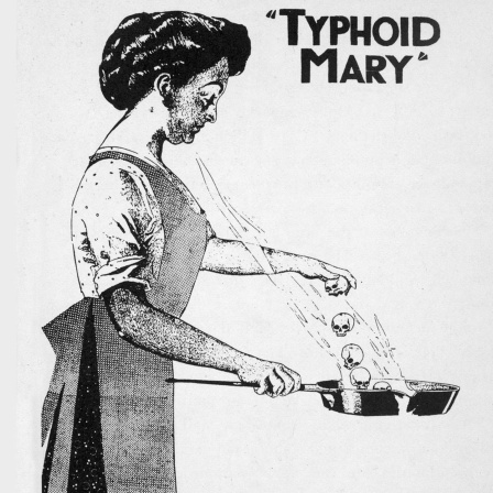 Zeichnung von Mary Mallon, bekannt als "Typhus Mary"