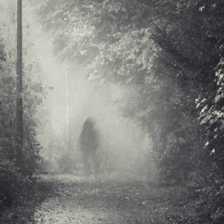 Eine verschwommene Gestalt in einem dunklen Wald.