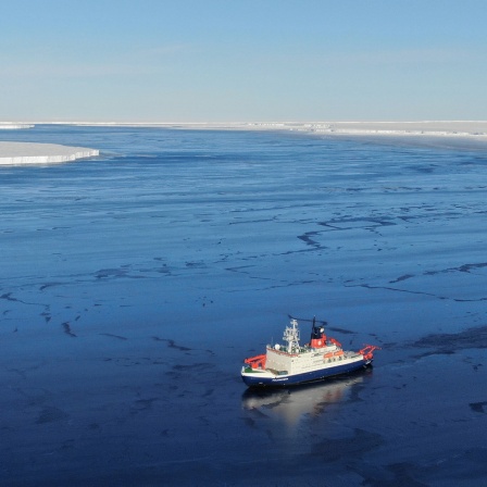 Das Forschungsschiff Polarstern auf dem Meer.