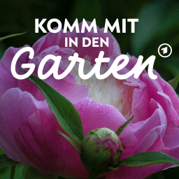 Das Portrait einer Person. Im Hintergrund Rosen.