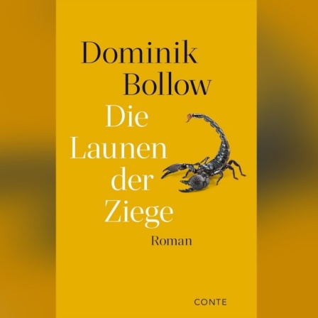 Domink Bollow