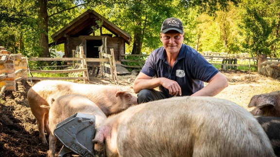 Hofgeschichten - Ackern Zwischen Alpen Und Ostsee - Die Schweine Büxen Aus (13)