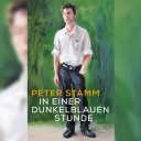 Buchcover: "In einer dunkelblauen Stunde" von Peter Stamm