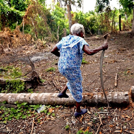 Im Juni 2017, rund neun Monate, nachdem der Hurrikan Matthew das Gebiet heimgesucht hat, geht Vanette Joseph, 91, eine Landwirtin in Lan Gommier / Haiti, durch ihr zerstörtes Grundstück. 100 Kokospalmen hat sie verloren.