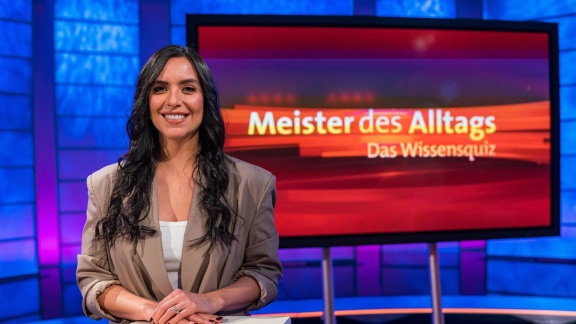 Meister Des Alltags - Meister Des Alltags Vom 13. September 2023